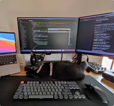 Luigi, Telos Labs team member